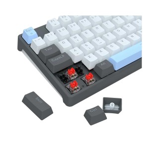 کیبورد گیمینگ مکانیکال با سیم ردراگون مدل CAESURA K718 RGB